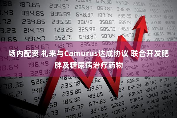 场内配资 礼来与Camurus达成协议 联合开发肥胖及糖尿病治疗药物