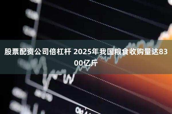 股票配资公司倍杠杆 2025年我国粮食收购量达8300亿斤
